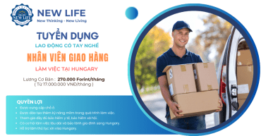 Chương trình đào tạo và làm việc nghề nhân viên giao hàng tại Hungary