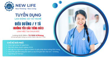 New Life việc làm không cần tiếng Đức